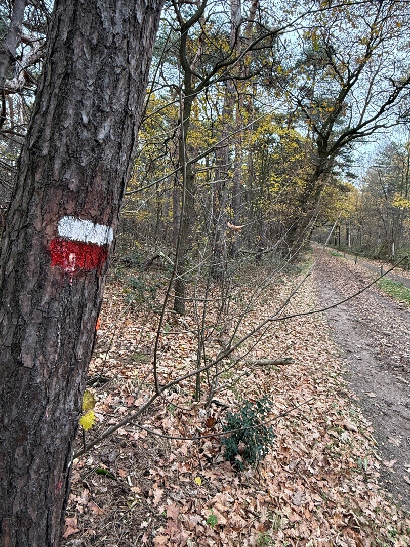 Montfort - Sittard · Pieterpad etappe 24