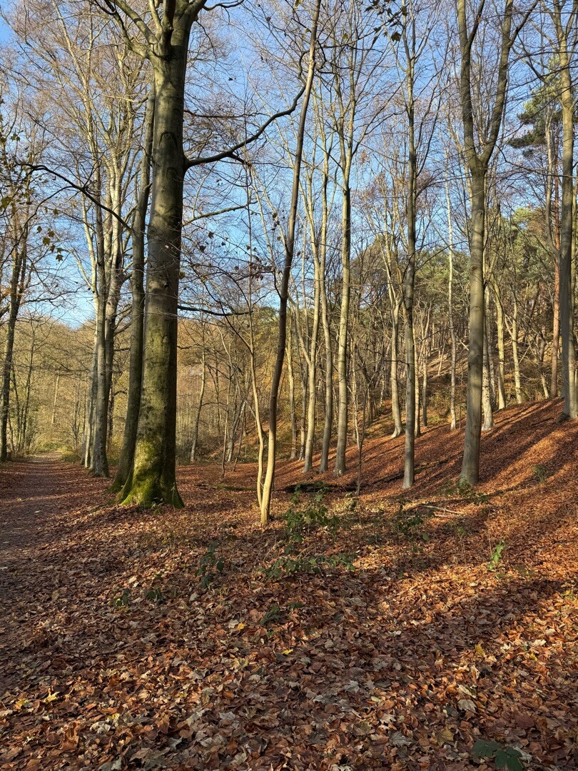 Sittard - Strabeek · Pieterpad etappe 25