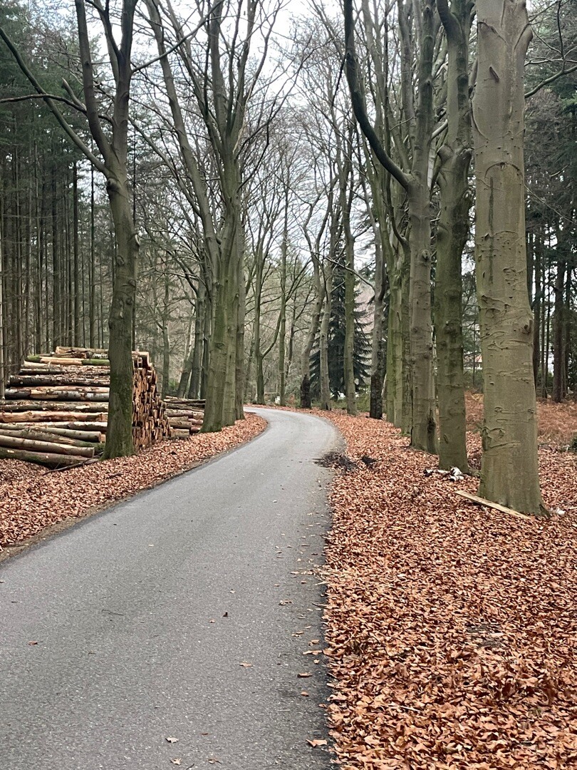Van Reusel naar Lage Mierde - "Beleven" · NederRandpad etappe 43