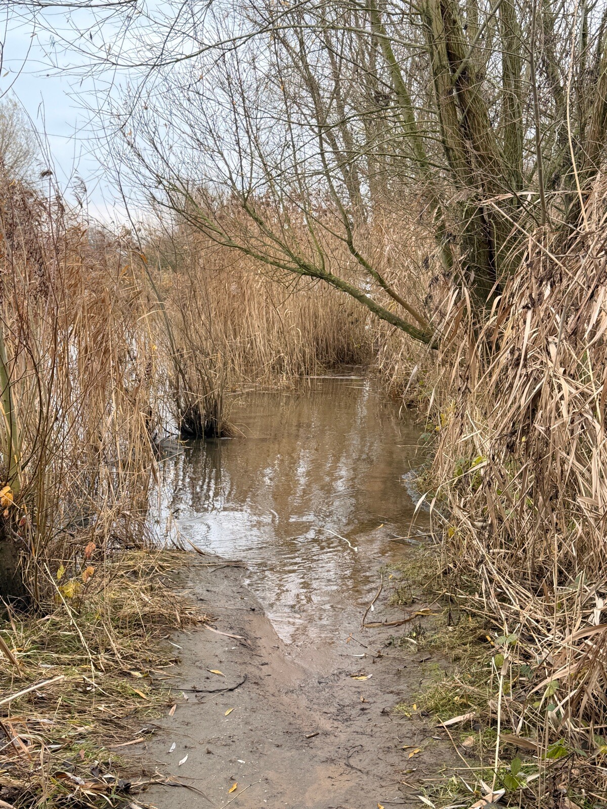 's-Hertochenbosch station - Oud-Empel · Maarten van Rossumpad etappe 1