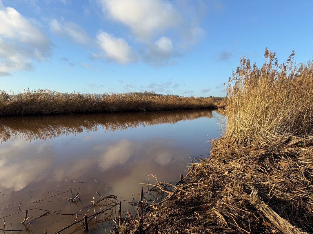 De Hoorndermeeden Wedde