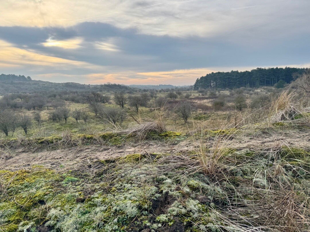 Haarlem station - Santpoort-Noord · Nederlands Kustpad 2 etappe 6