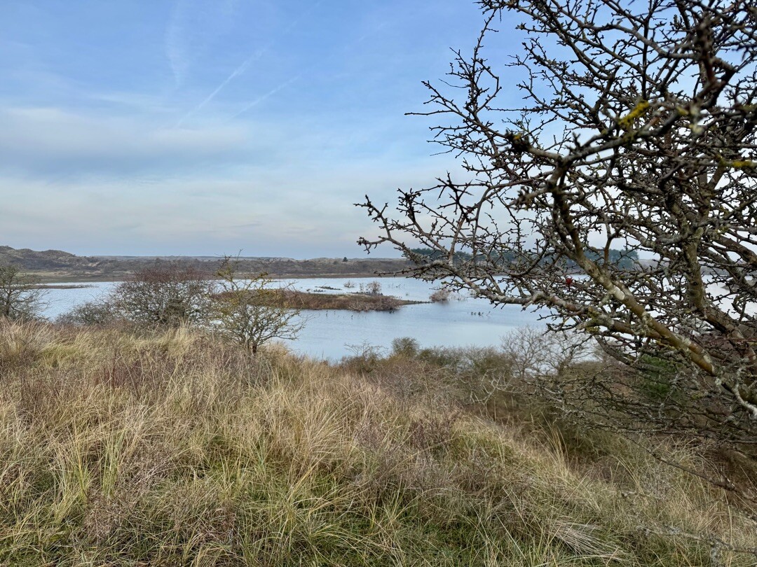 Haarlem station - Santpoort-Noord · Nederlands Kustpad 2 etappe 6