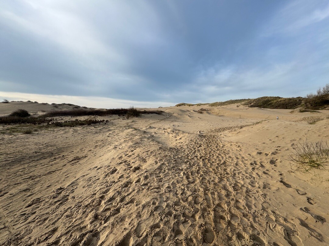 Haarlem station - Santpoort-Noord · Nederlands Kustpad 2 etappe 6