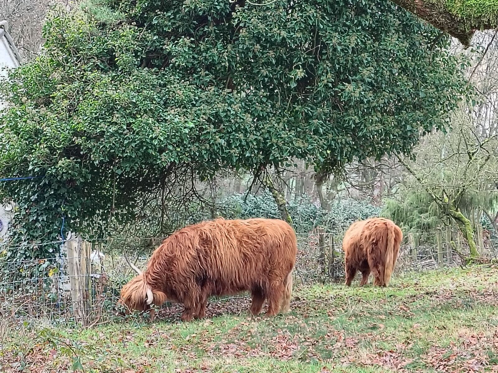 Plasmolen - Malden · Walk of Wisdom etappe 4
