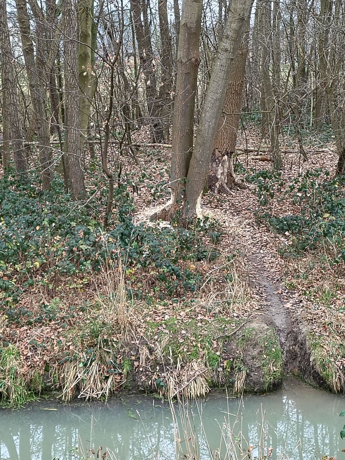 Malden - Grave · Walk of Wisdom etappe 5