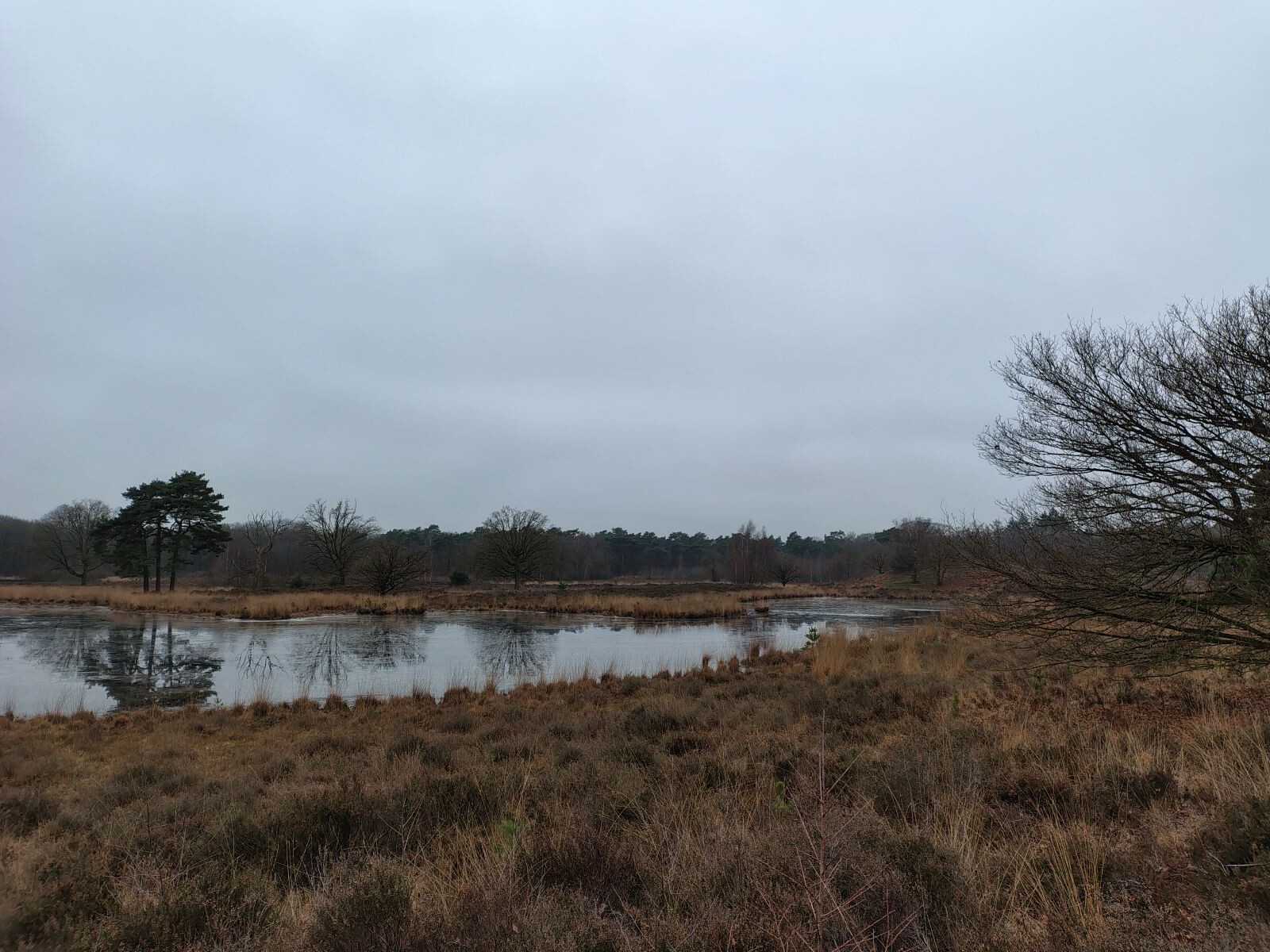 Malden - Grave · Walk of Wisdom etappe 5