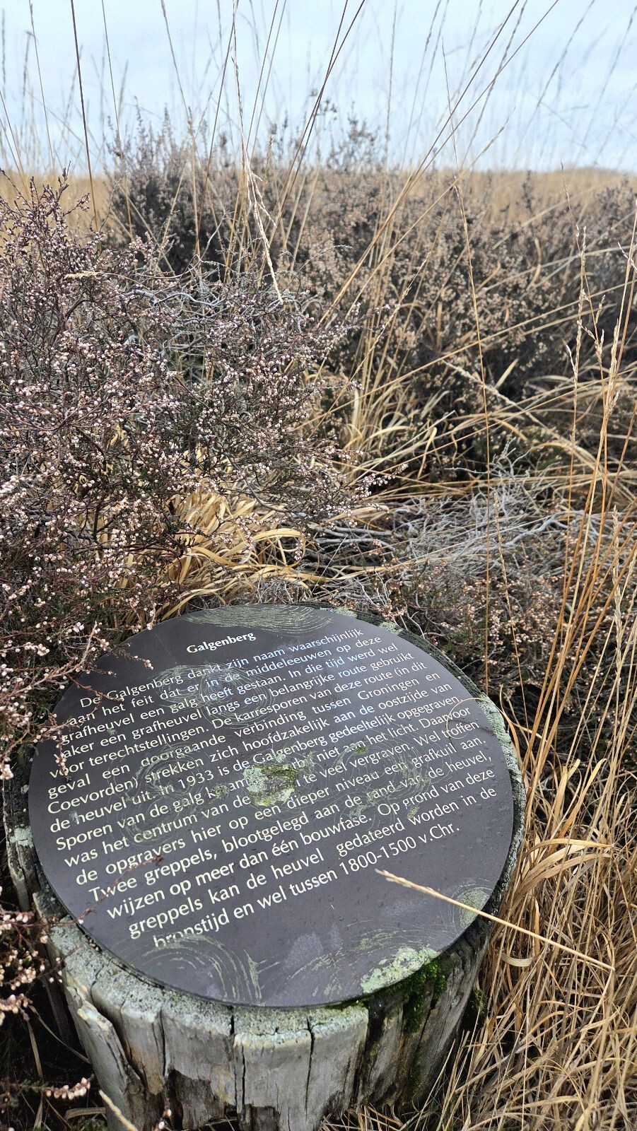 Boswachterspad Ballooërveld verkort