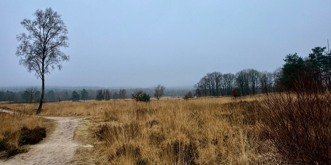Hoenderloo - Loenen · Trekvogelpad etappe 18