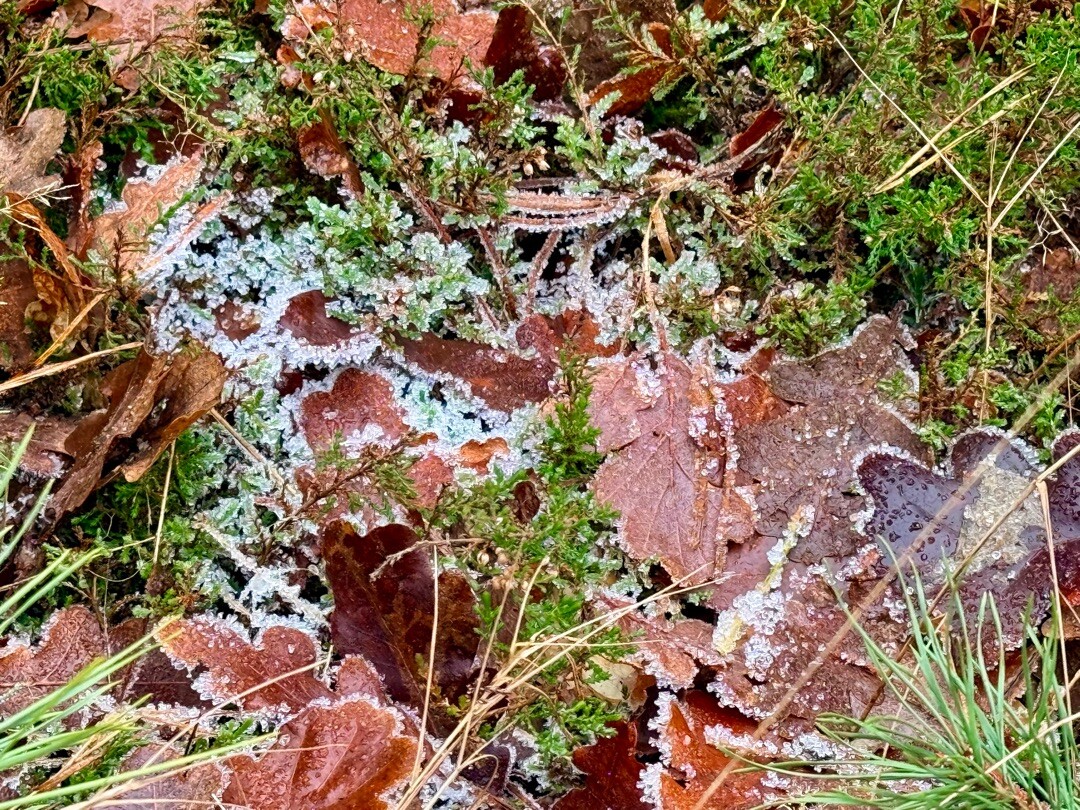 Hoenderloo - Loenen · Trekvogelpad etappe 18