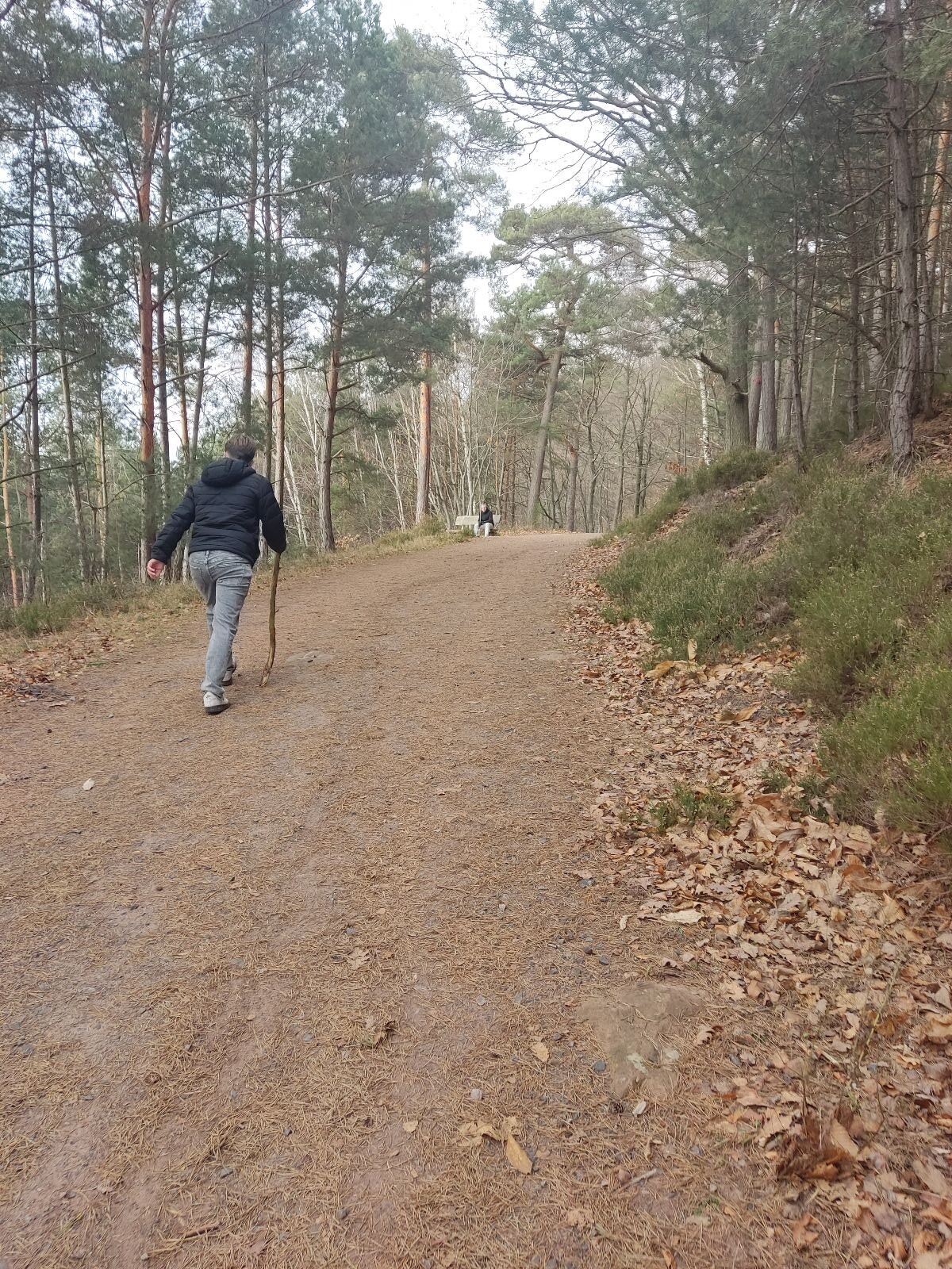 Burgenweg (Klingenmünster)