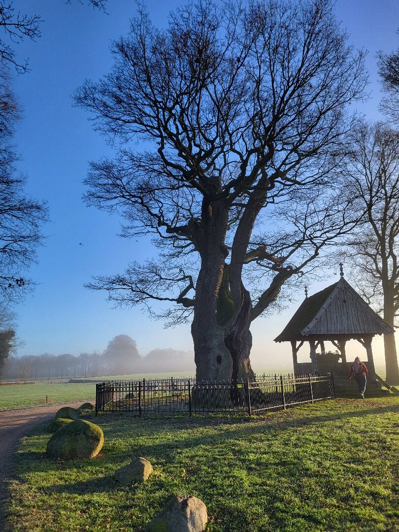 Tubbergen - Saasveld · Hilligenpad etappe 4