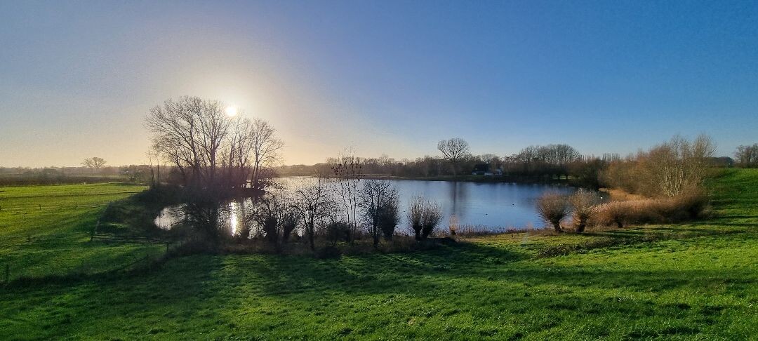 Doddendaelpad Beuningen