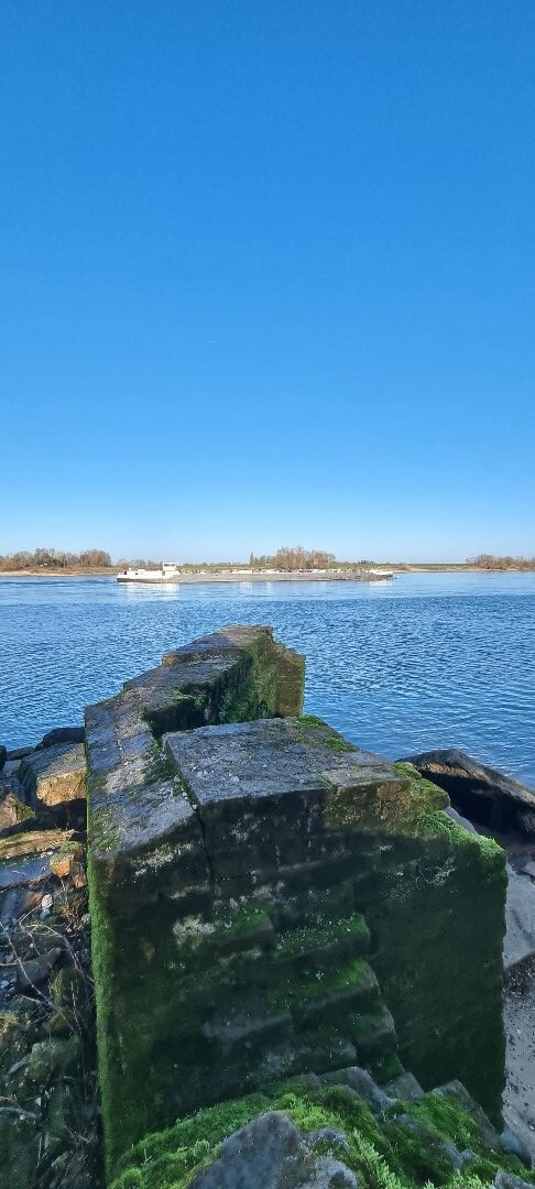 Doddendaelpad Beuningen