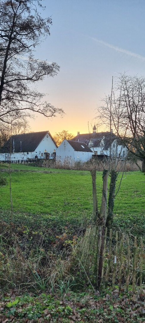 Doddendaelpad Beuningen