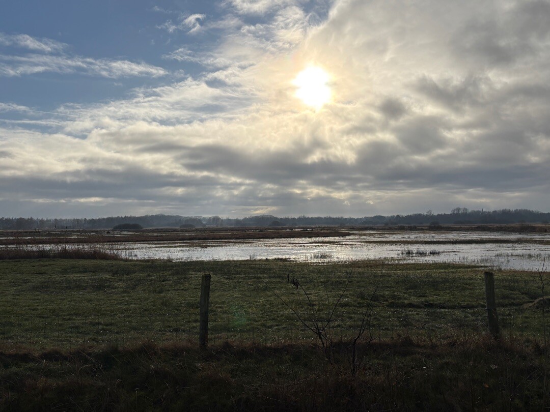 Nieuwkuijk - Poeldonk · Hertogenpad etappe 4