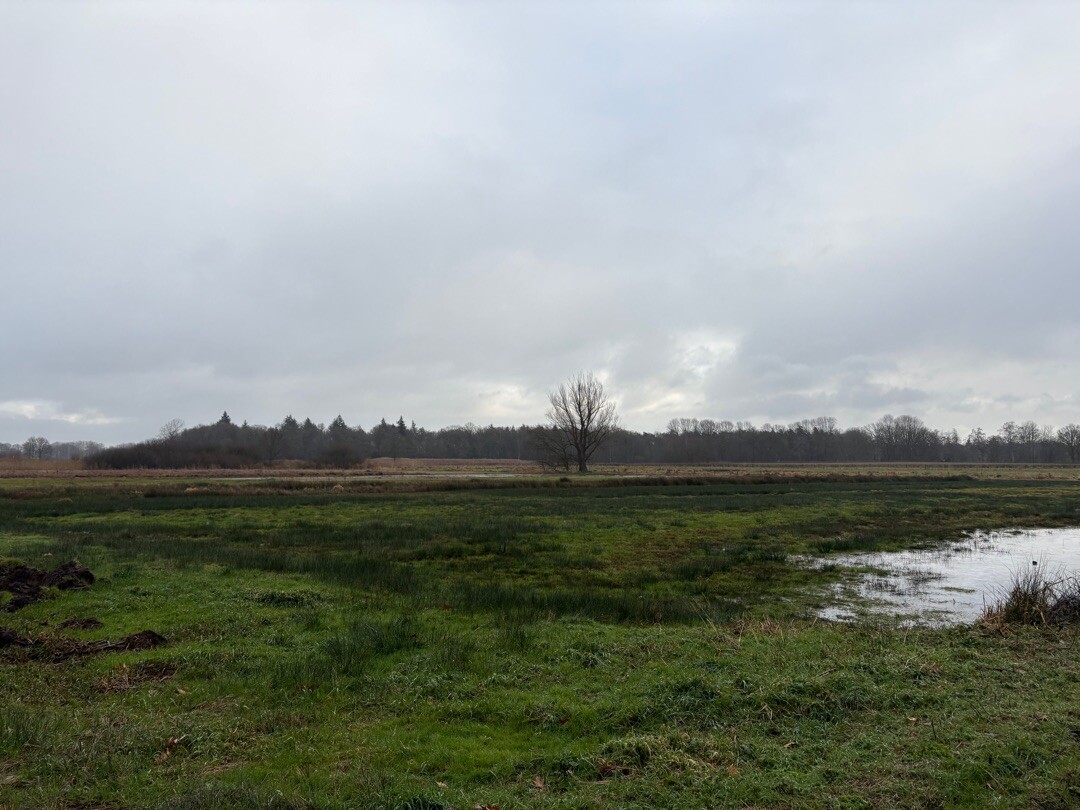 Nieuwkuijk - Poeldonk · Hertogenpad etappe 4