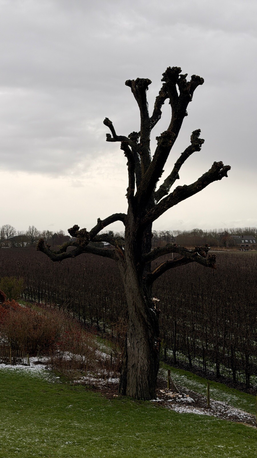 Wadenoijen - Ravenswaaij · Maarten van Rossumpad etappe 5