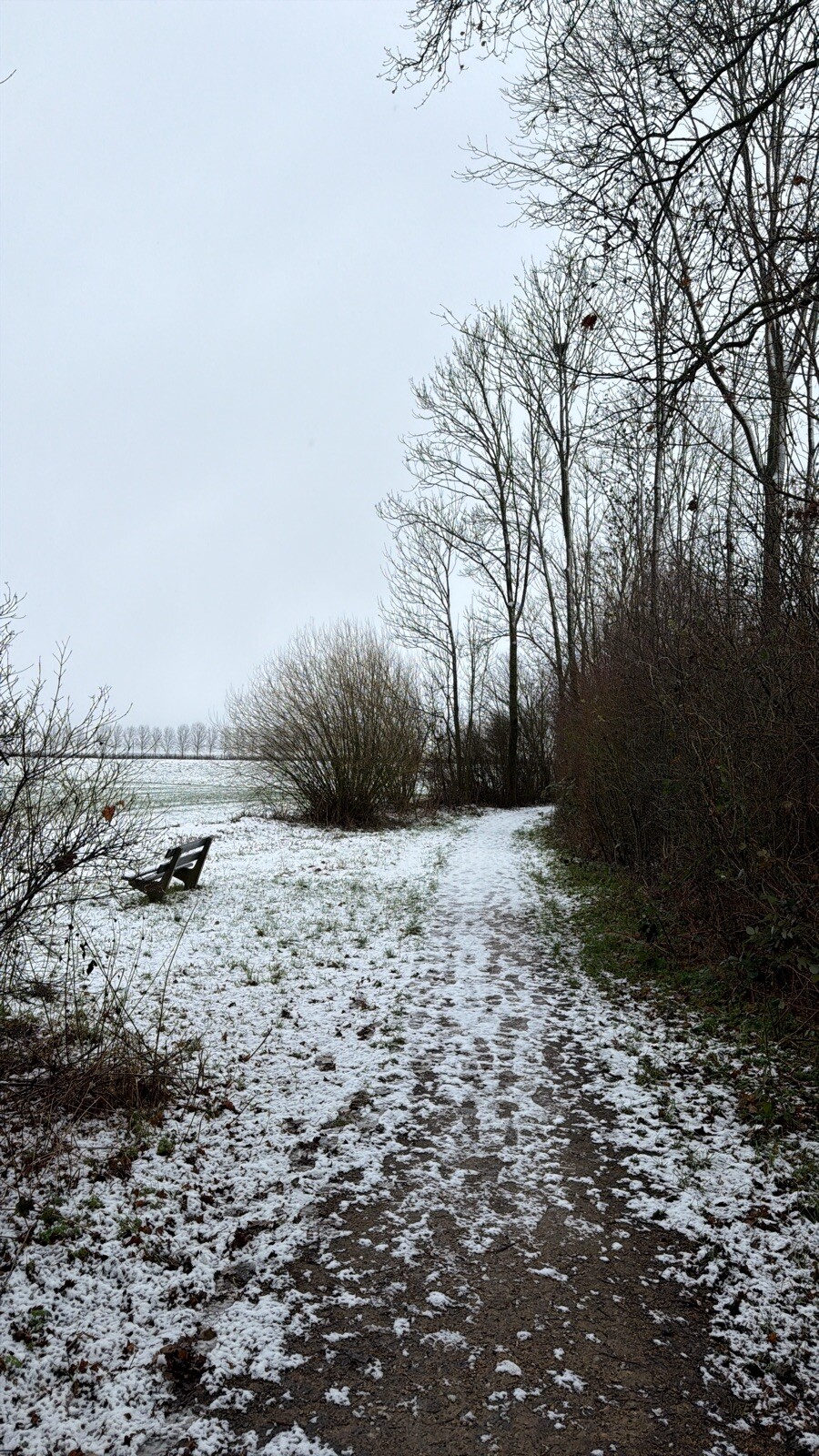 Wadenoijen - Ravenswaaij · Maarten van Rossumpad etappe 5