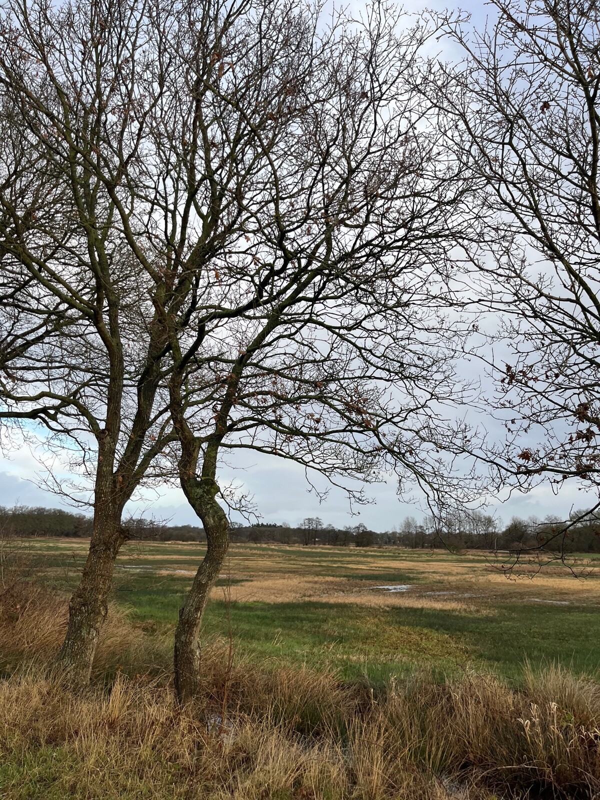 Zuidlaren - Rolde · Pieterpad etappe 4