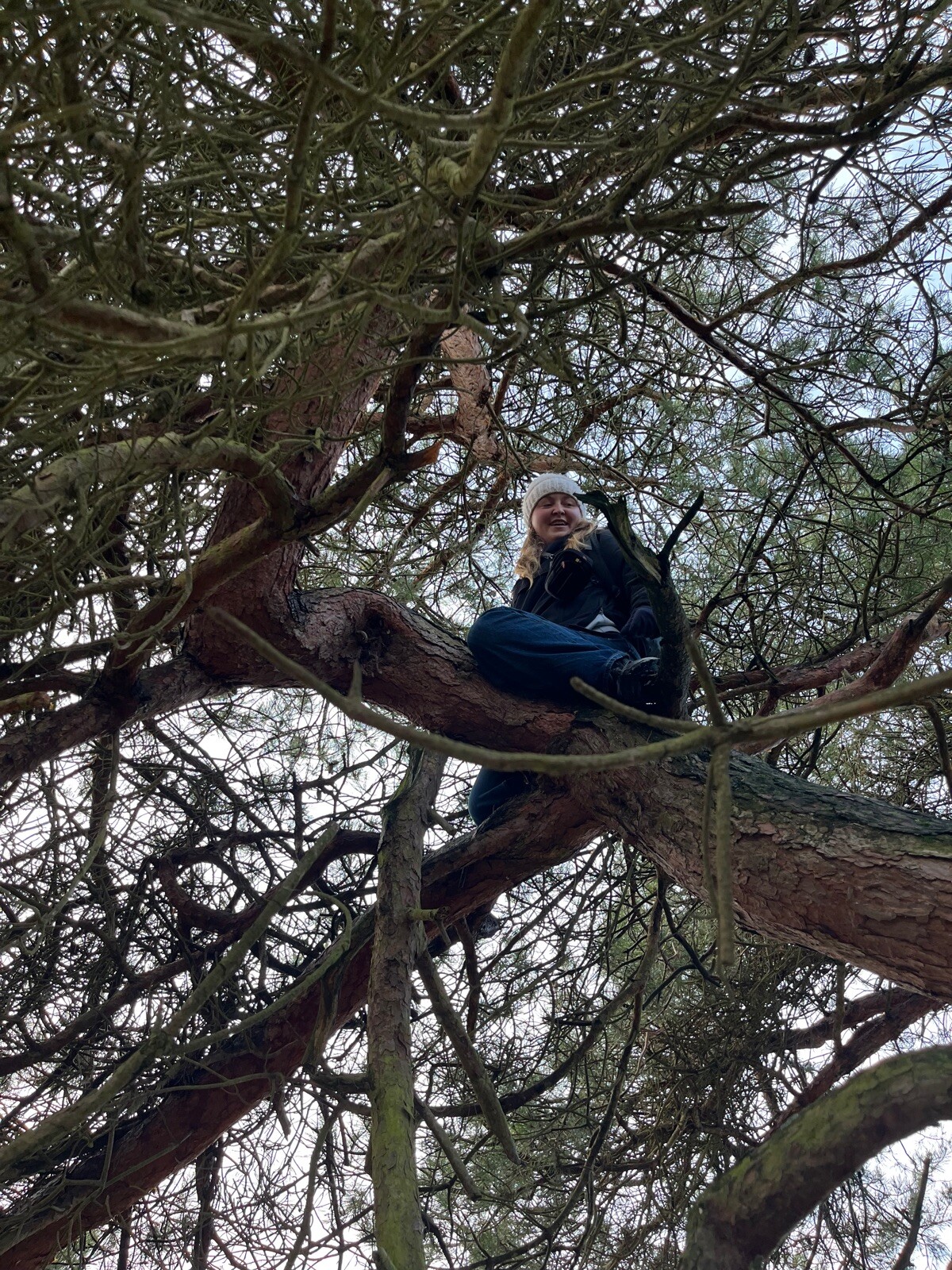 Zuidlaren - Rolde · Pieterpad etappe 4