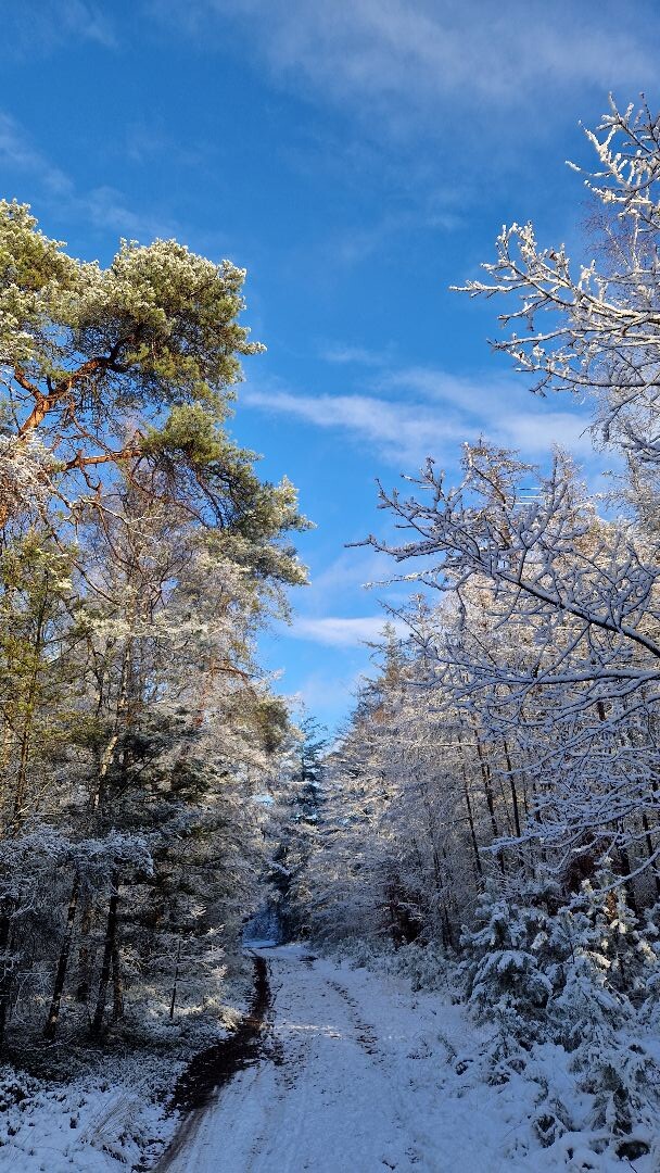 Wandelroute Holterbergwandeling