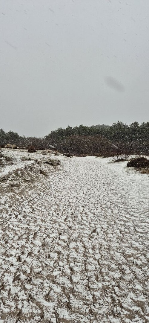 Boswachterspad Noordzeewandeling 