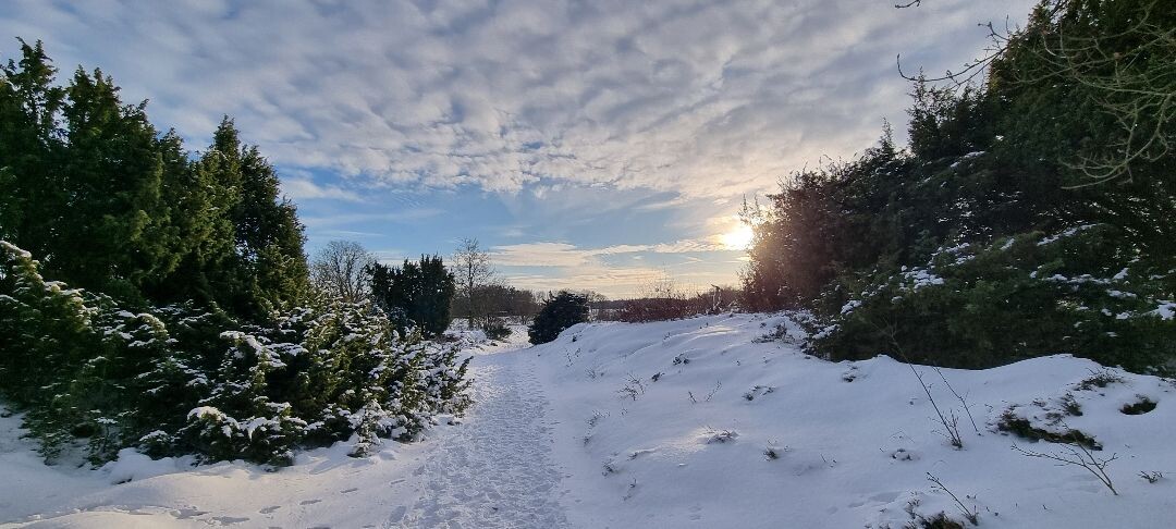 Zuidlaren - Rolde · Pieterpad etappe 4