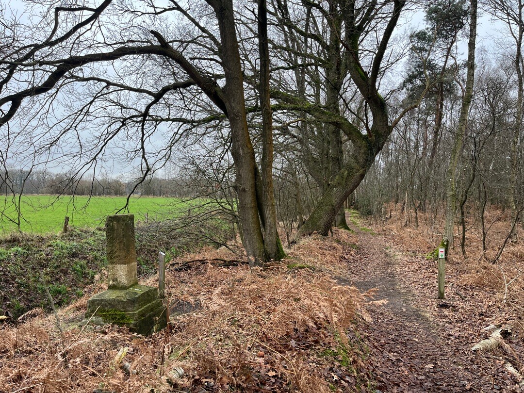 Haaksbergen, Buurserstraat - Zwillbrock · Noaberpad etappe 15