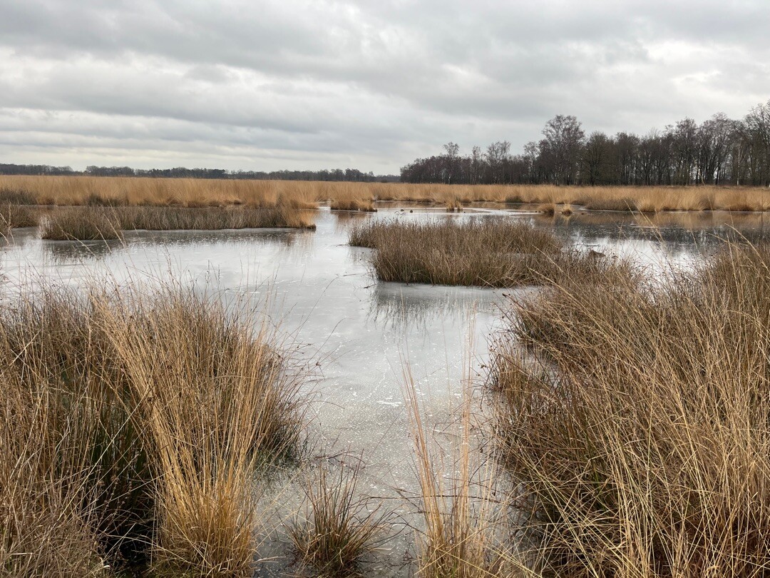 Haaksbergen, Buurserstraat - Zwillbrock · Noaberpad etappe 15