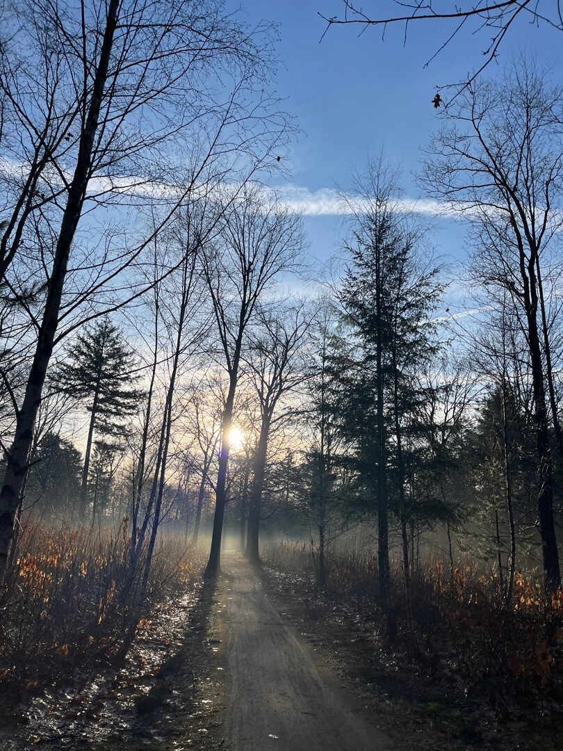 Land van Cuijkpad etappe 4