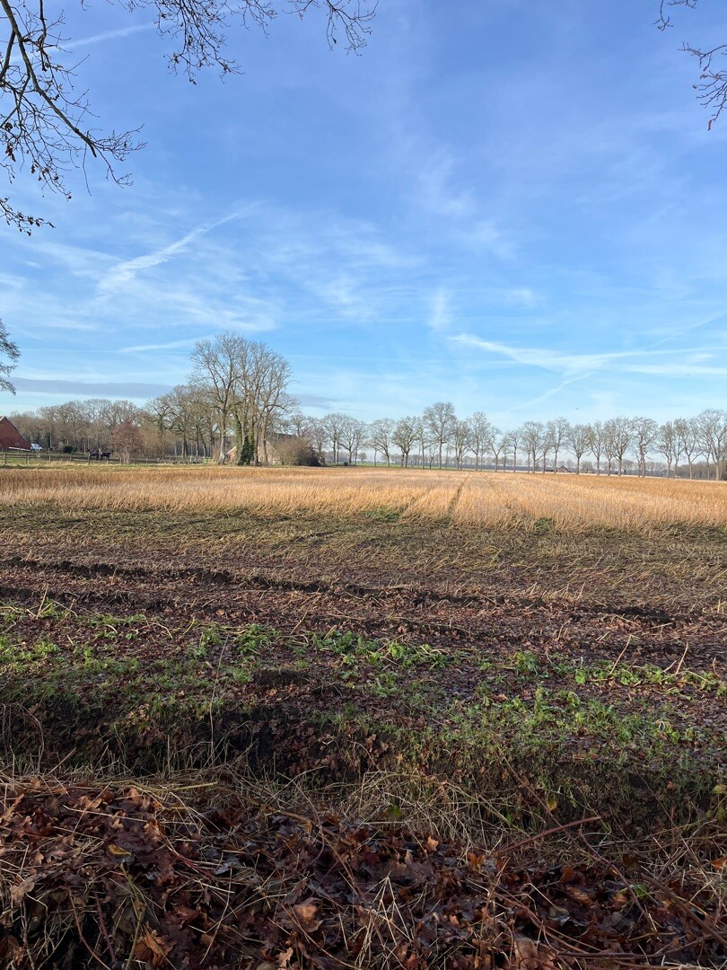 Jipsinghuizen - Ter Apel · Noaberpad etappe 5