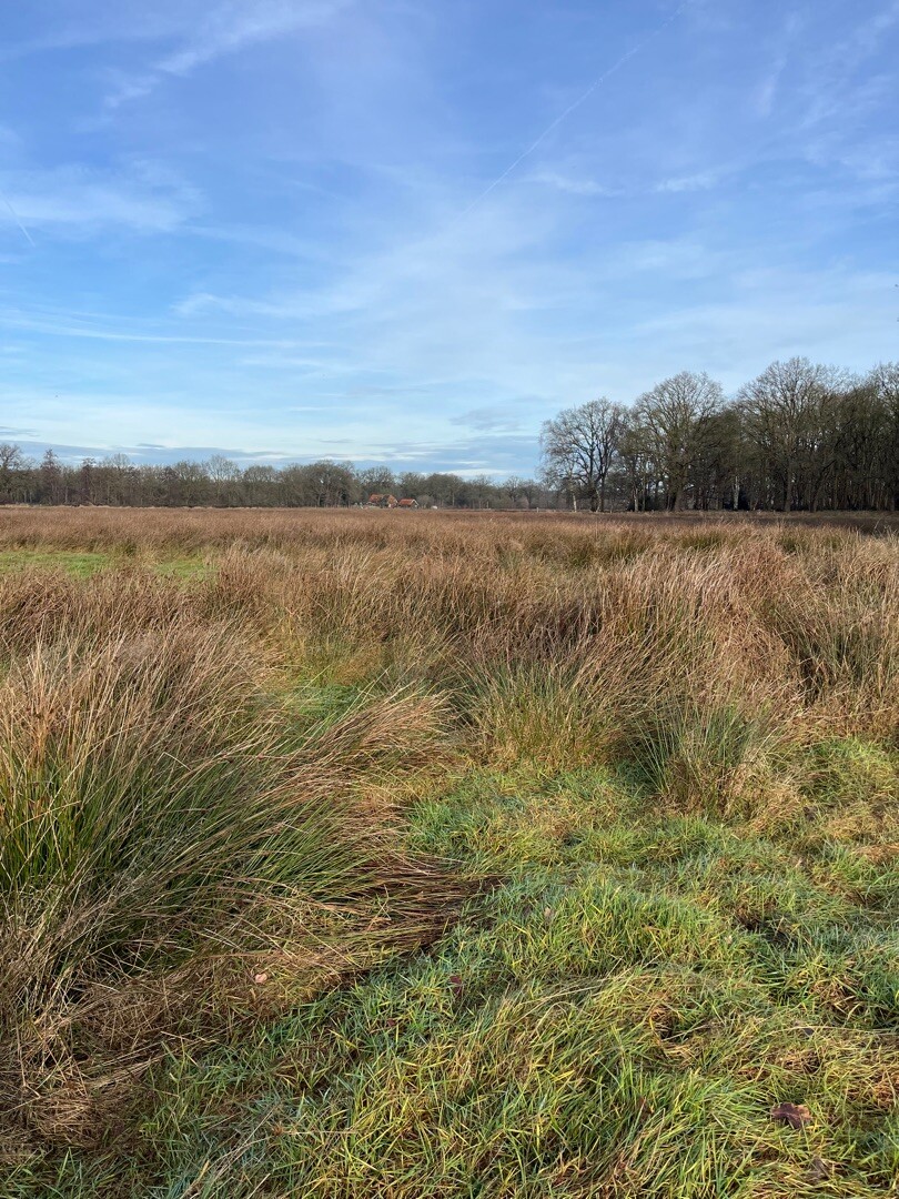 Jipsinghuizen - Ter Apel · Noaberpad etappe 5