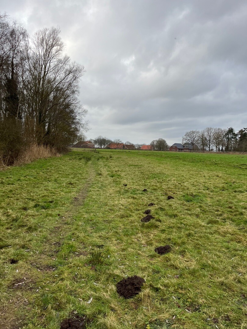 Weende - Jipsinghuizen · Noaberpad etappe 4