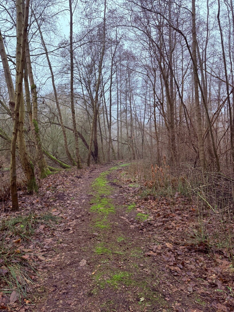 Sellingen - Ter Apel · Westerwoldepad etappe 4