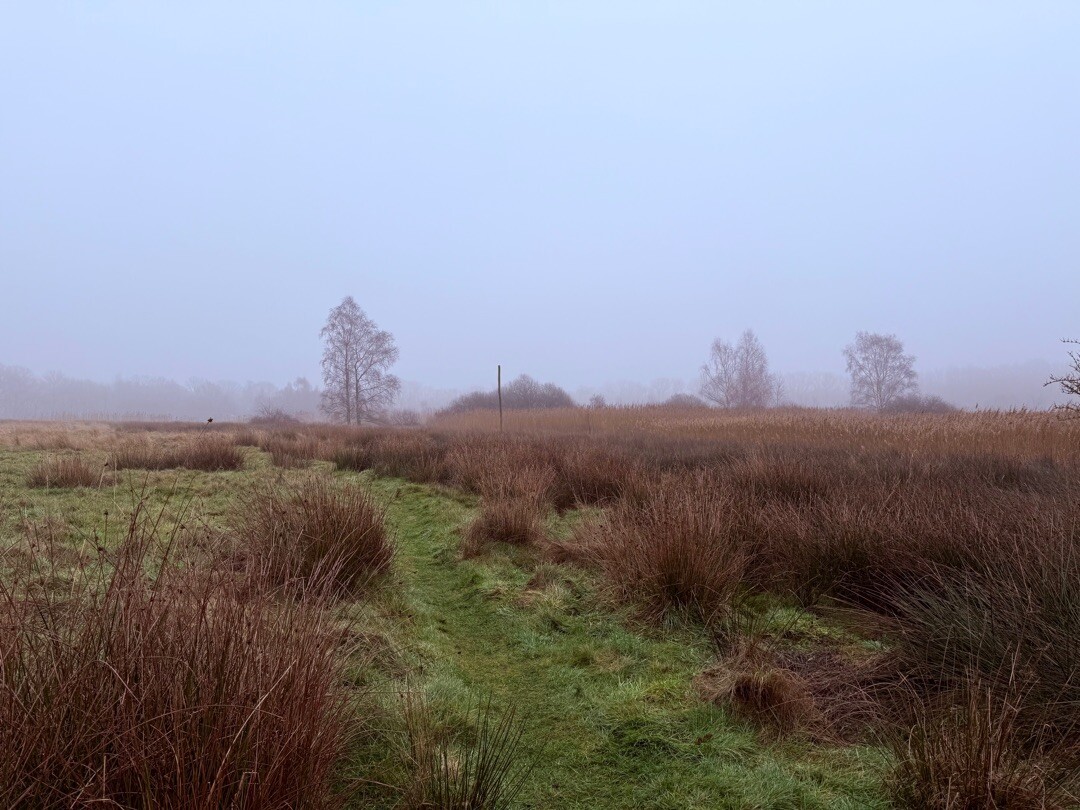 Sellingen - Ter Apel · Westerwoldepad etappe 4