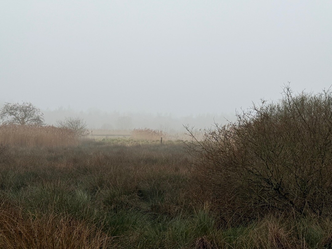 Sellingen - Ter Apel · Westerwoldepad etappe 4