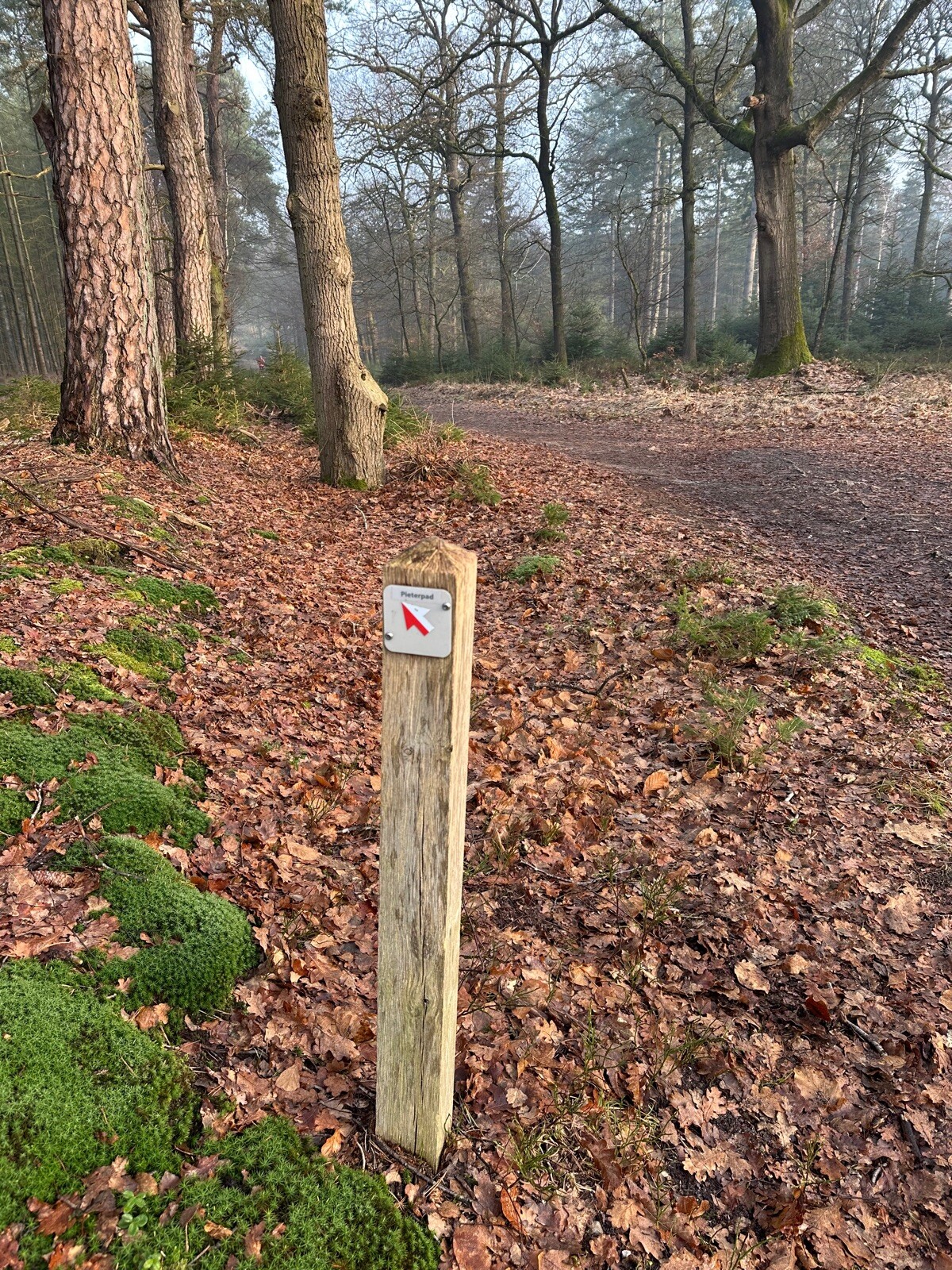 Roots-wandeling 'Een echo uit de oertijd' – Nationaal Park Sallandse Heuvelrug