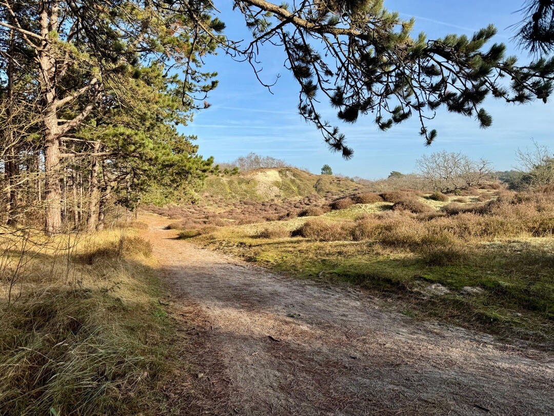 Nederlands Kustpad 2