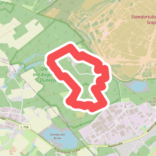Rondtocht met dünenpfad - Zand zoals aan zee: de Senne-duinen