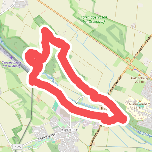Exclusieve tip voor natuurtochten: Kalkgrasveld bij Ossendorf