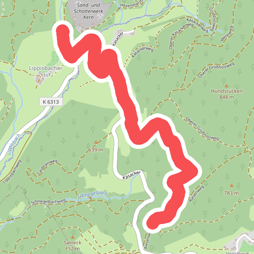 Bei den Lippisbacherhöfen - In den Riesen