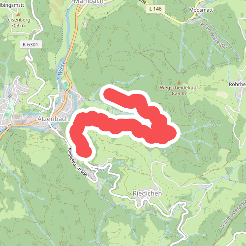 Erzenwald - Grüneck