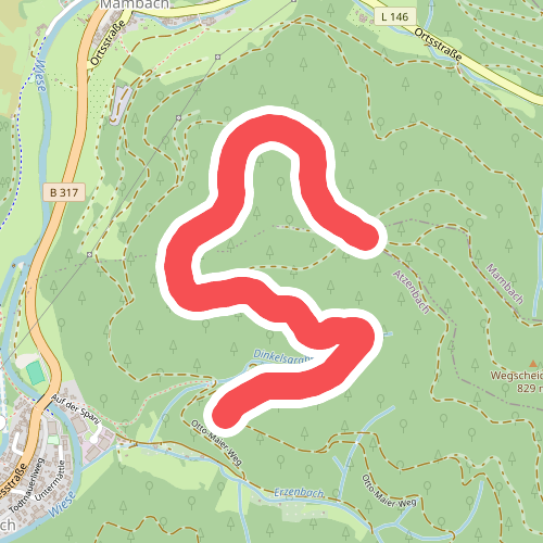 Erzenwald - Wegscheidekopf