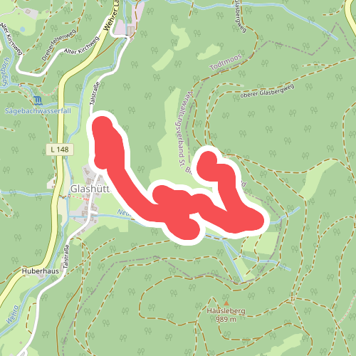 Todtmoos-Glashütte - Rheintalblick
