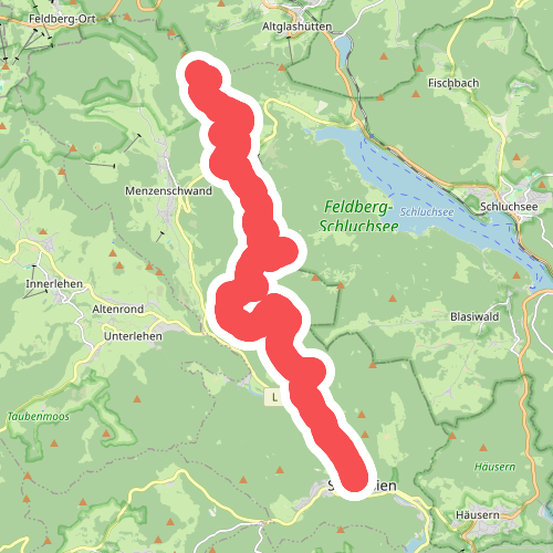 St. Blasien - Farnwitte