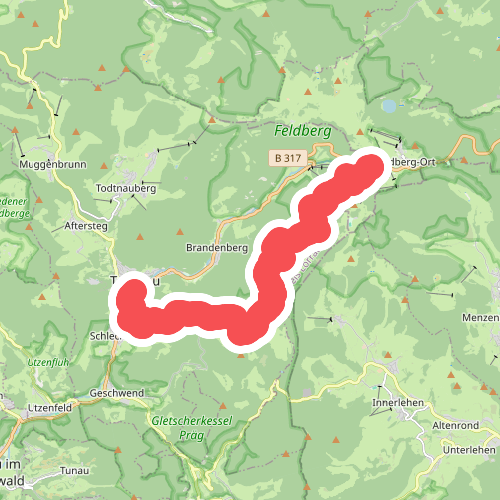 Todtnau - Feldbergpass