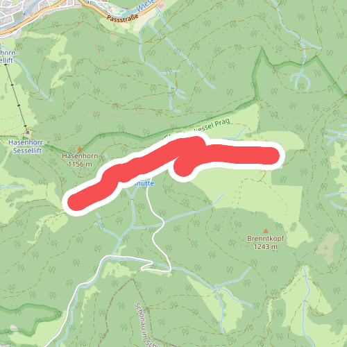 Bei der Schlechtnauerhöhe - Mauswinkel