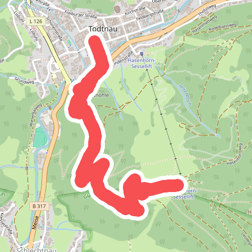Gasthaus Hasenhorn - Todtnau Tourist-Information