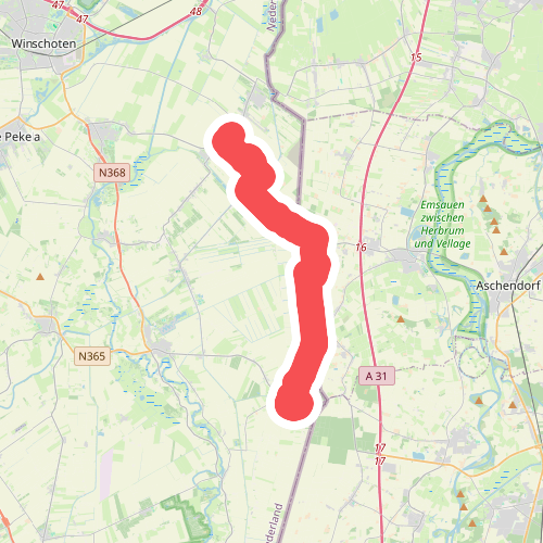 Bellingwolde naar Bourtange "Boer Tange" · NederRandpad etappe 1